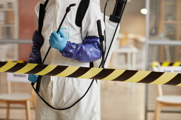 Professional Sewage Cleanup technician working in Westfield, MA